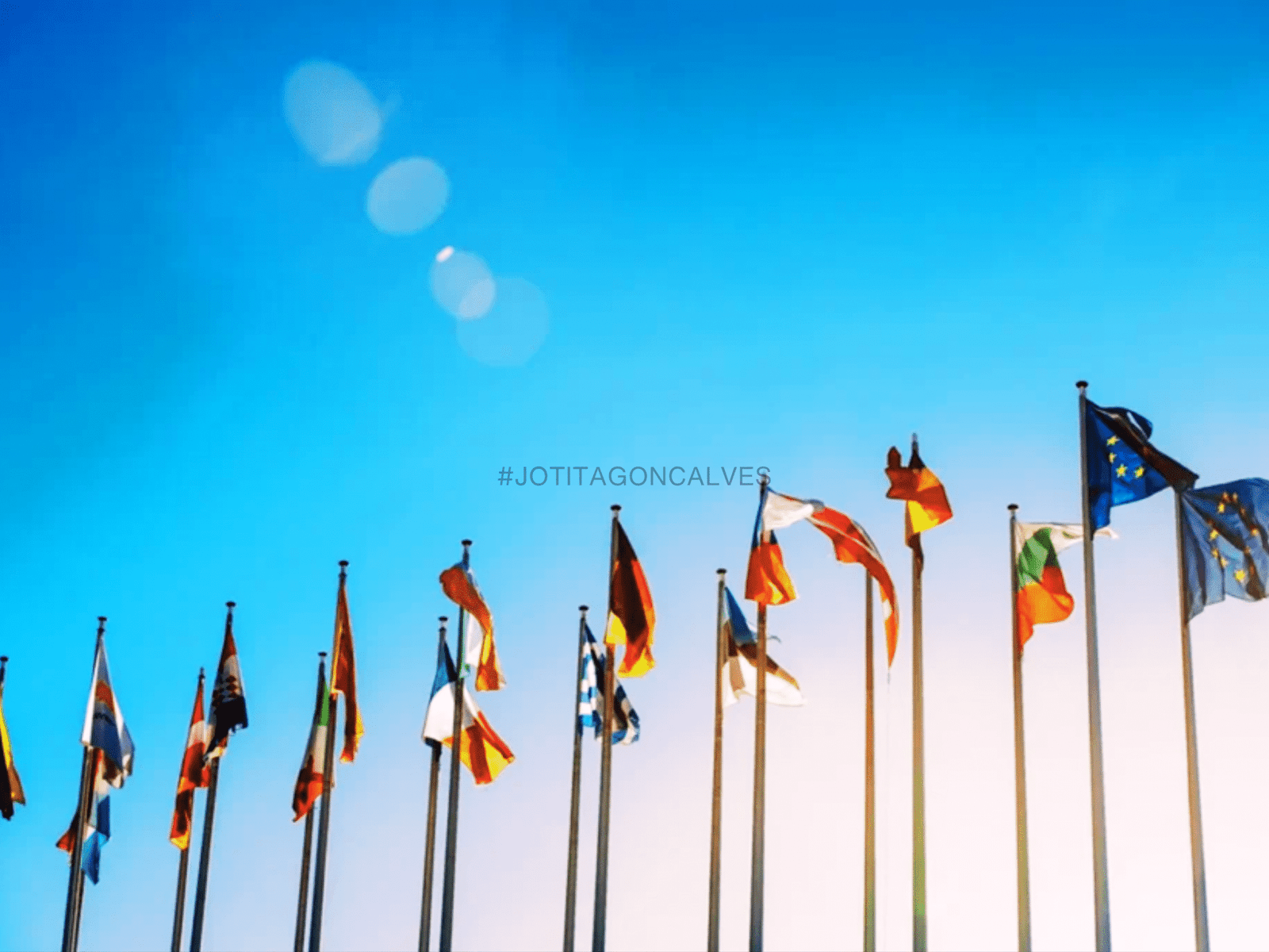 Numb in a selfish world flags
